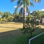 quintal